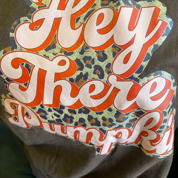NEW.  Hey there pumpkin tshirt - Picture 2 of 4
